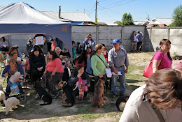 Veterinaria Municipal Angol