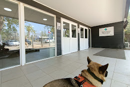 Veterinaria Municipal Las Condes