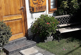 Veterinaria Noe