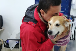 Veterinaria Oftaderm