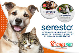 Veterinaria Orangepet Ecuador