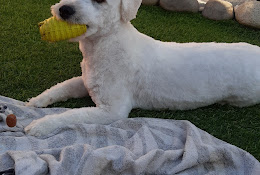Veterinaria Peñuelas