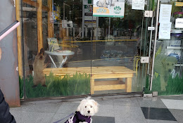 Veterinaria Pet Happy Ñuñoa