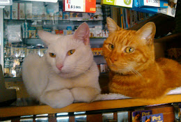 Veterinaria Pet Plaza