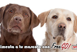 Veterinaria Pet'land