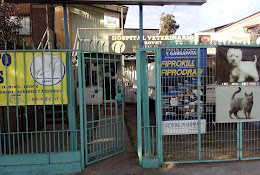 Veterinaria Provet