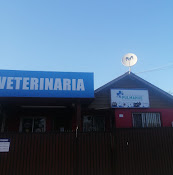 Veterinaria Pulmahue