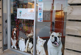 Veterinaria Punto Pets