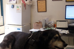 Veterinaria Ramon Cruz Macul
