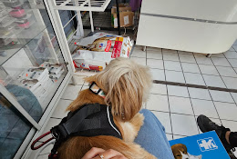 Veterinaria Salud Animal