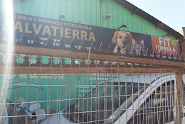Veterinaria Salvatierra