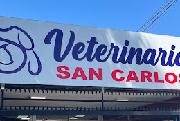 Veterinaria San Carlos Puente Alto