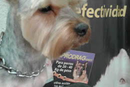 Veterinaria San Gabriel Puente Alto