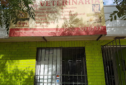Veterinaria San Vicente Lo Espejo