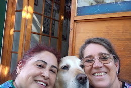 Veterinaria Su Veterinaria