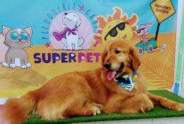 Veterinaria Super Pets