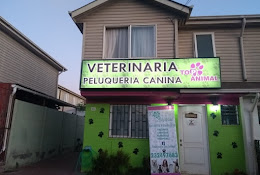 Veterinaria Top Animal Padre Hurtado