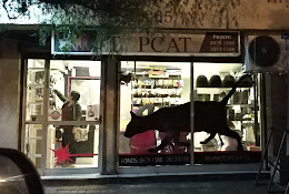 Veterinaria Topcat