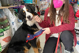 Veterinaria Universopet