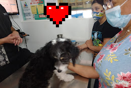 Veterinaria Univerzoo