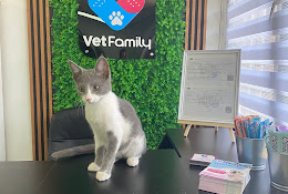 Veterinaria Vetfamily