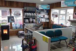 Veterinaria Vida Pet Río Bueno