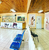 Veterinario Kris