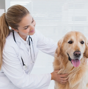 Veterinary Medical Center