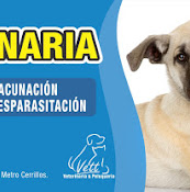 Vett Veterinaria Y Peluquería