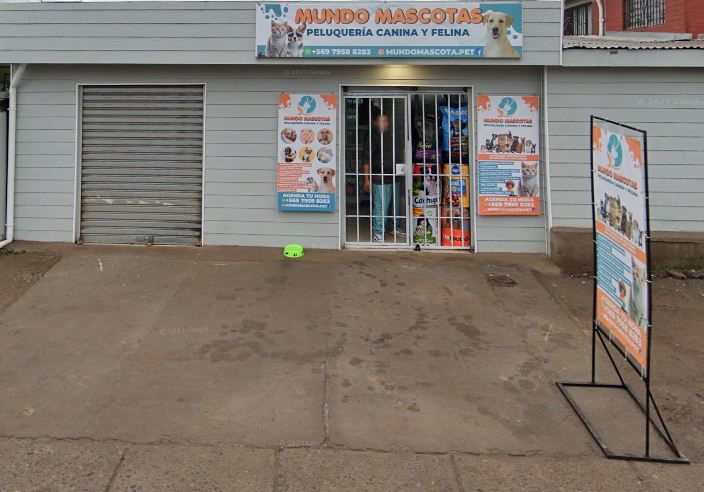 Mundo Mascota / Peluqueria Canina Y Felina
